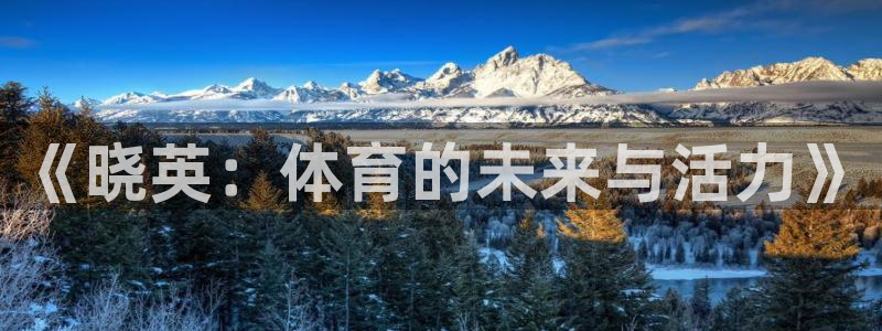 678体育官网下载：《晓英：体育的未来与活力》