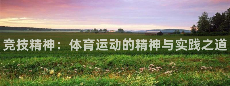 678体育官网下载：竞技精神：体育运动的精神与实践之道