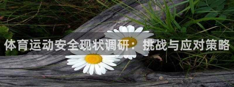 678体育：体育运动安全现状调研：挑战与应对策略
