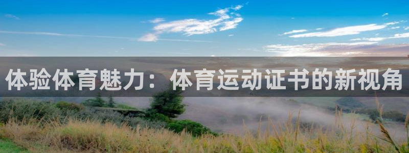 678体育app：体验体育魅力：体育运动证书的新视角