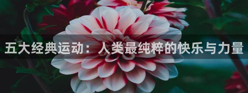 678体育官网下载：五大经典运动：人类最纯粹的快乐与力量