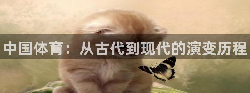 678体育官网下载：中国体育：从古代到现代的演变历程