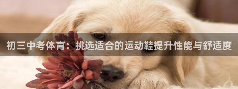 678体育知识：初三中考体育：挑选适合的运动鞋提升性能与舒适度