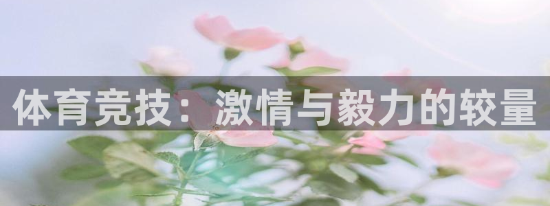 678体育：体育竞技：激情与毅力的较量